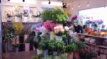 「花専科カタヤマ」　（神奈川県横須賀市）の花屋店舗写真2